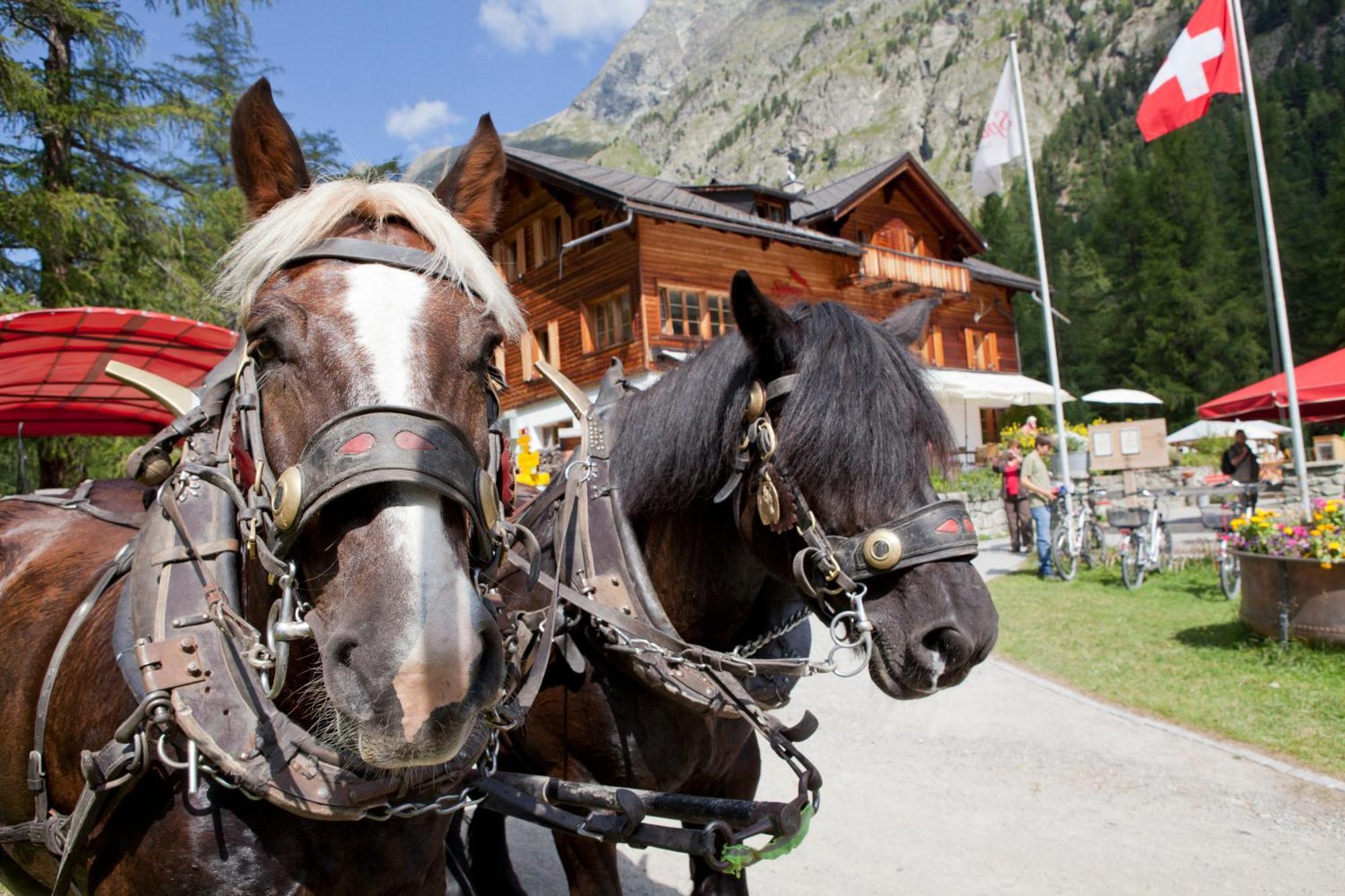 Gasthaus Spinas Bever Exterior photo